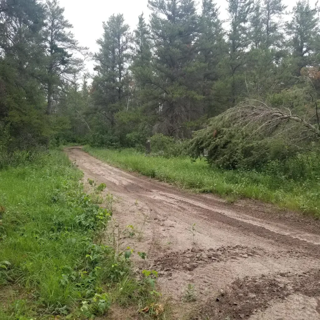Whistle Pig Trail