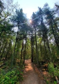 Victoria Beach Trail